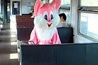 Штраф для московских «зайцев» может вырасти в 10 раз