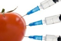Инфицированные овощи через российскую границу не пройдут