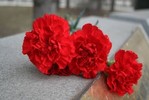В Самарской области сотрудница военкомата наживалась на памятниках ветеранам