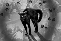 Кошки помогут раскрывать преступления 