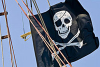 Партия пиратов в Швейцарии