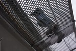 В Латвии на одного тюремного психолога приходится приходится до 600 заключенных