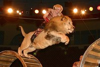 Дрессировщик Эдгард Запашный подал иск к актеру Валерию Николаеву за обвинения в жестоком обращении с животными