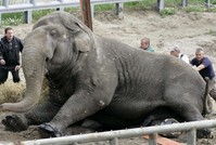 Пензенский губернатор велел чиновникам затянуть пояса