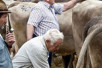 Фермеры отказываются от адвокатов животных