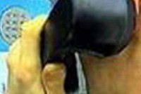 Информация о бомбе в московской мэрии не подтвердилась