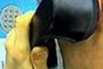 Информация о бомбе в московской мэрии не подтвердилась