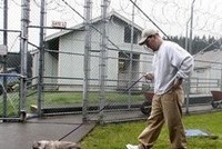Заключенные заботятся о брошенных кошках и… помогают себе