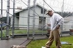 Заключенные заботятся о брошенных кошках и… помогают себе